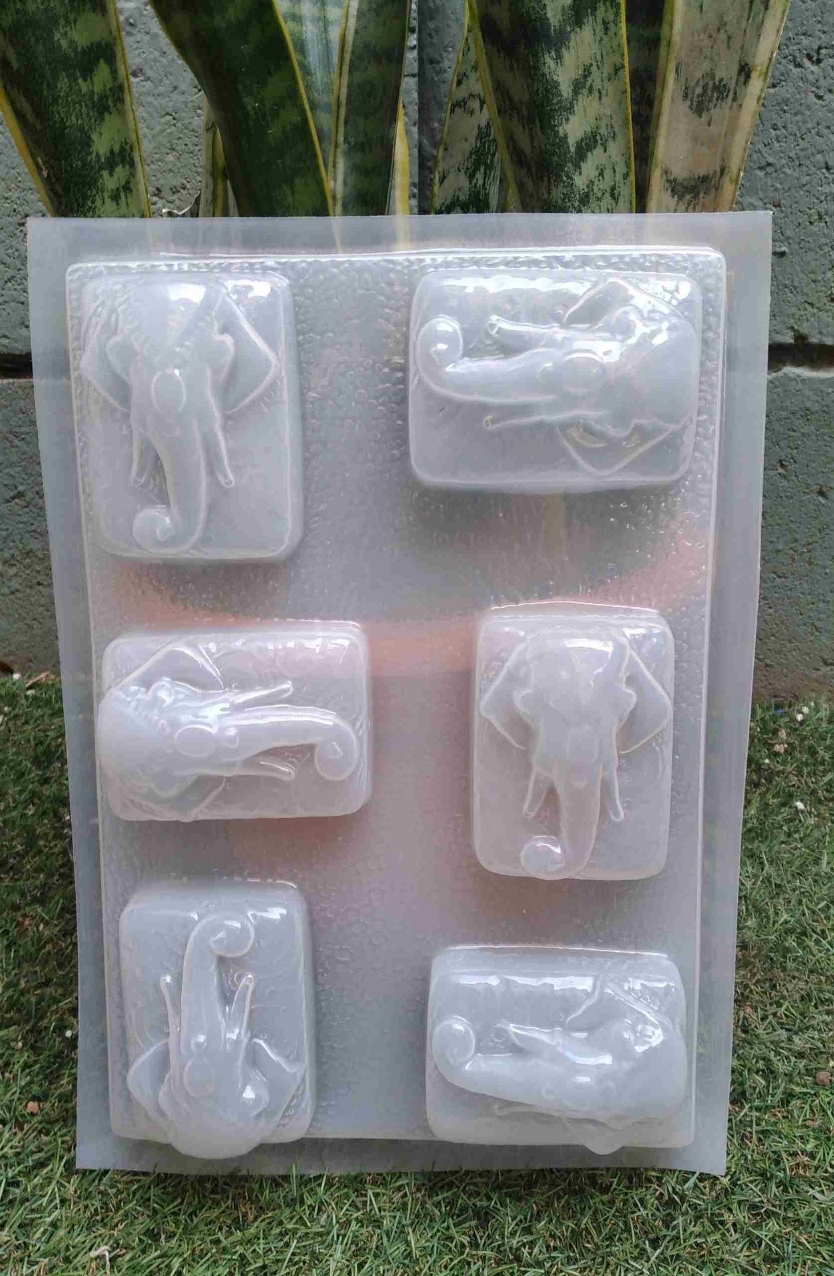 Mole Elefante de la India