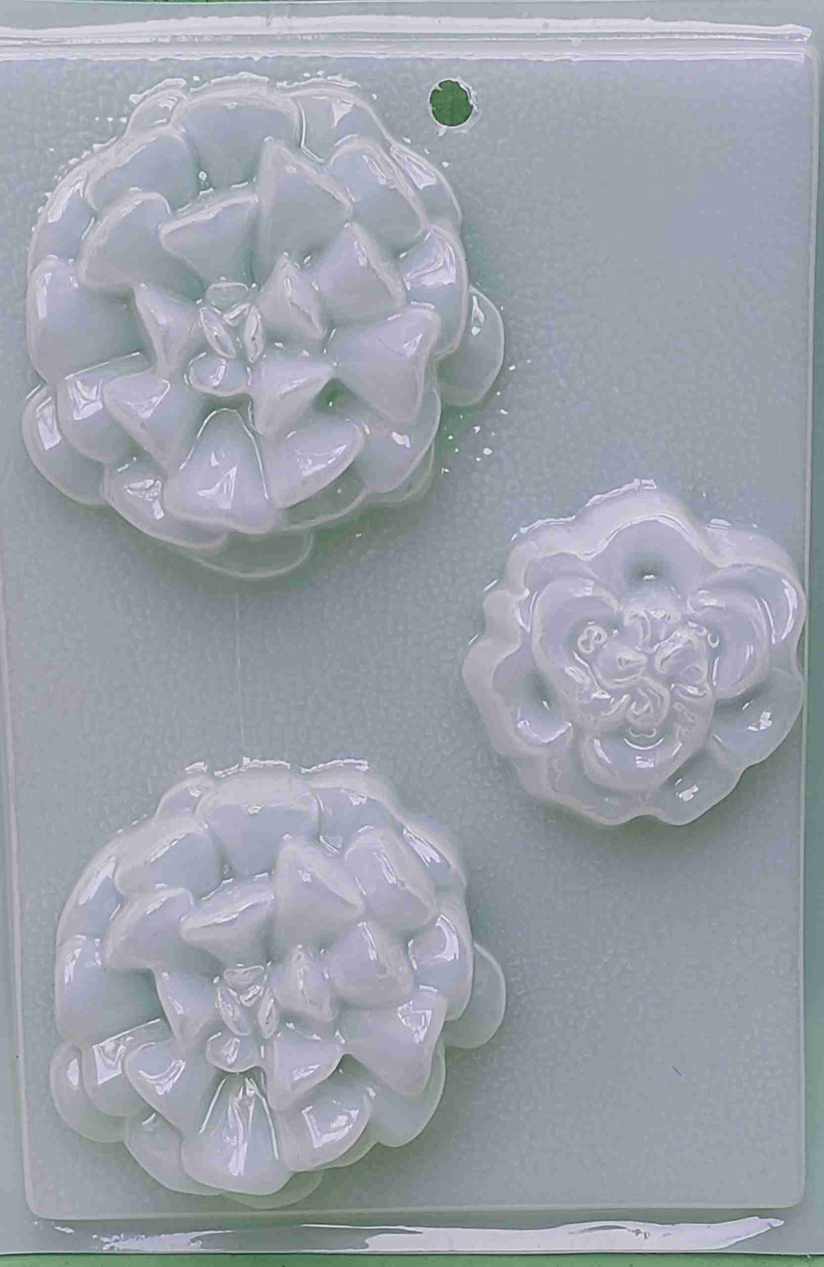 Molde suculentas grandes de 3