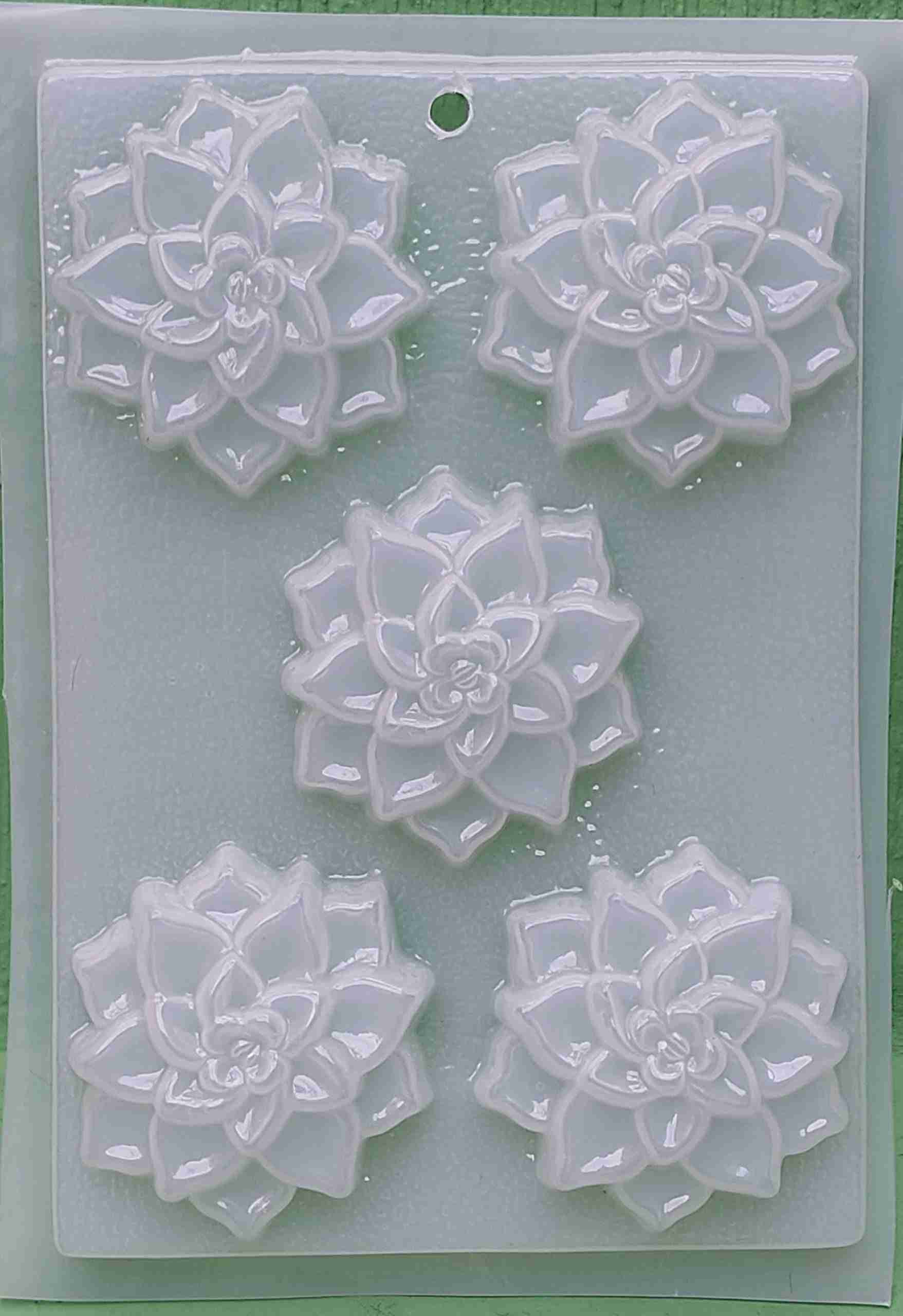 Molde suculentas medianas de 5