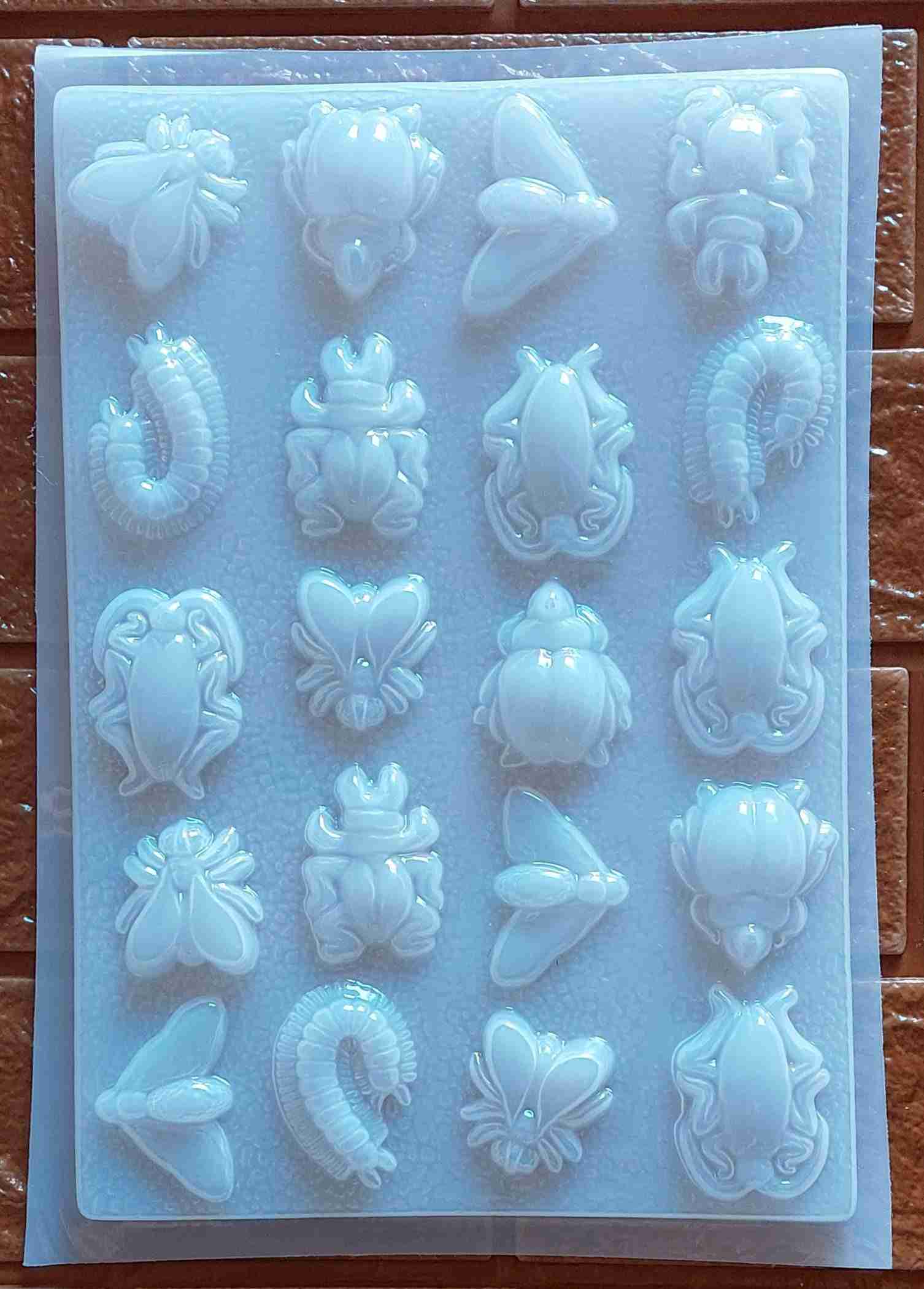 Molde de insectos