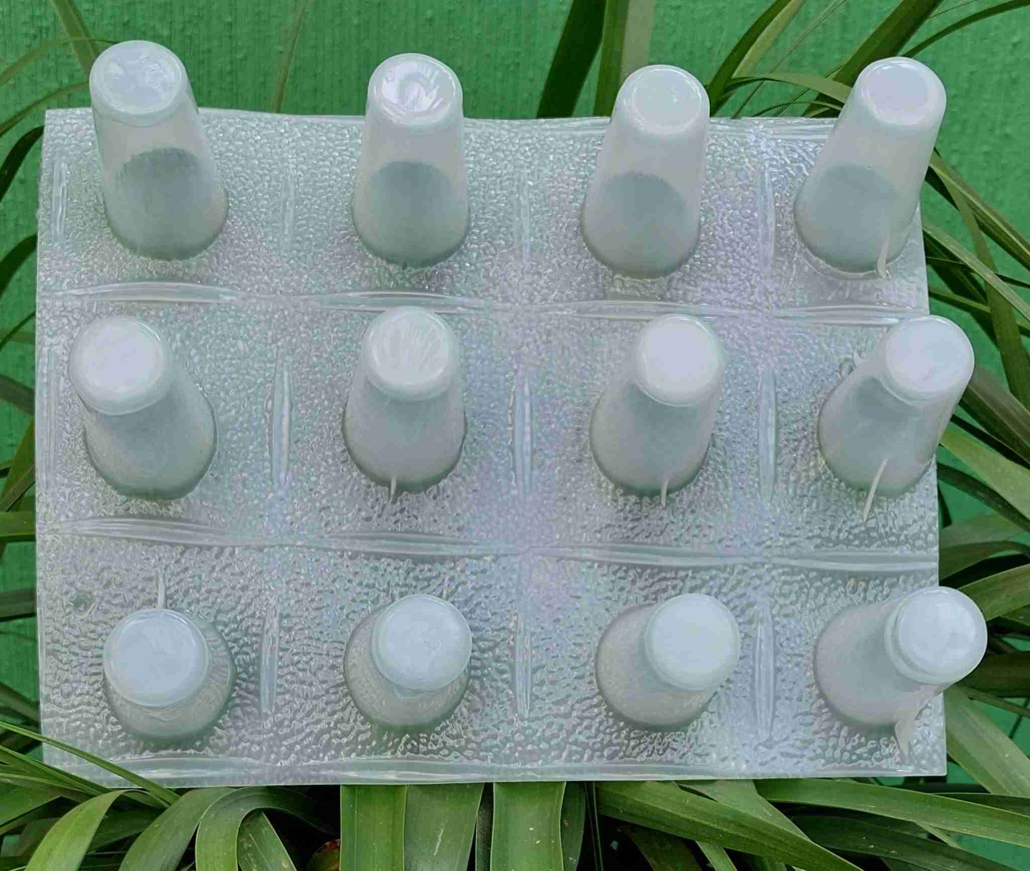 Molde Gelapaleta Redonda de 12