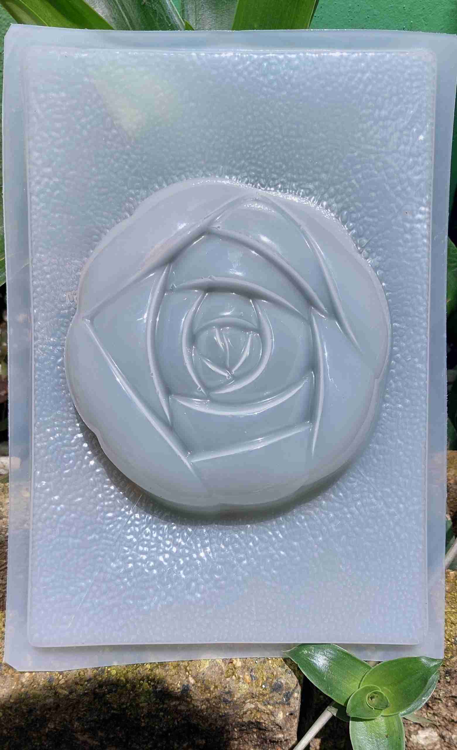 Molde flor suculenta unidad