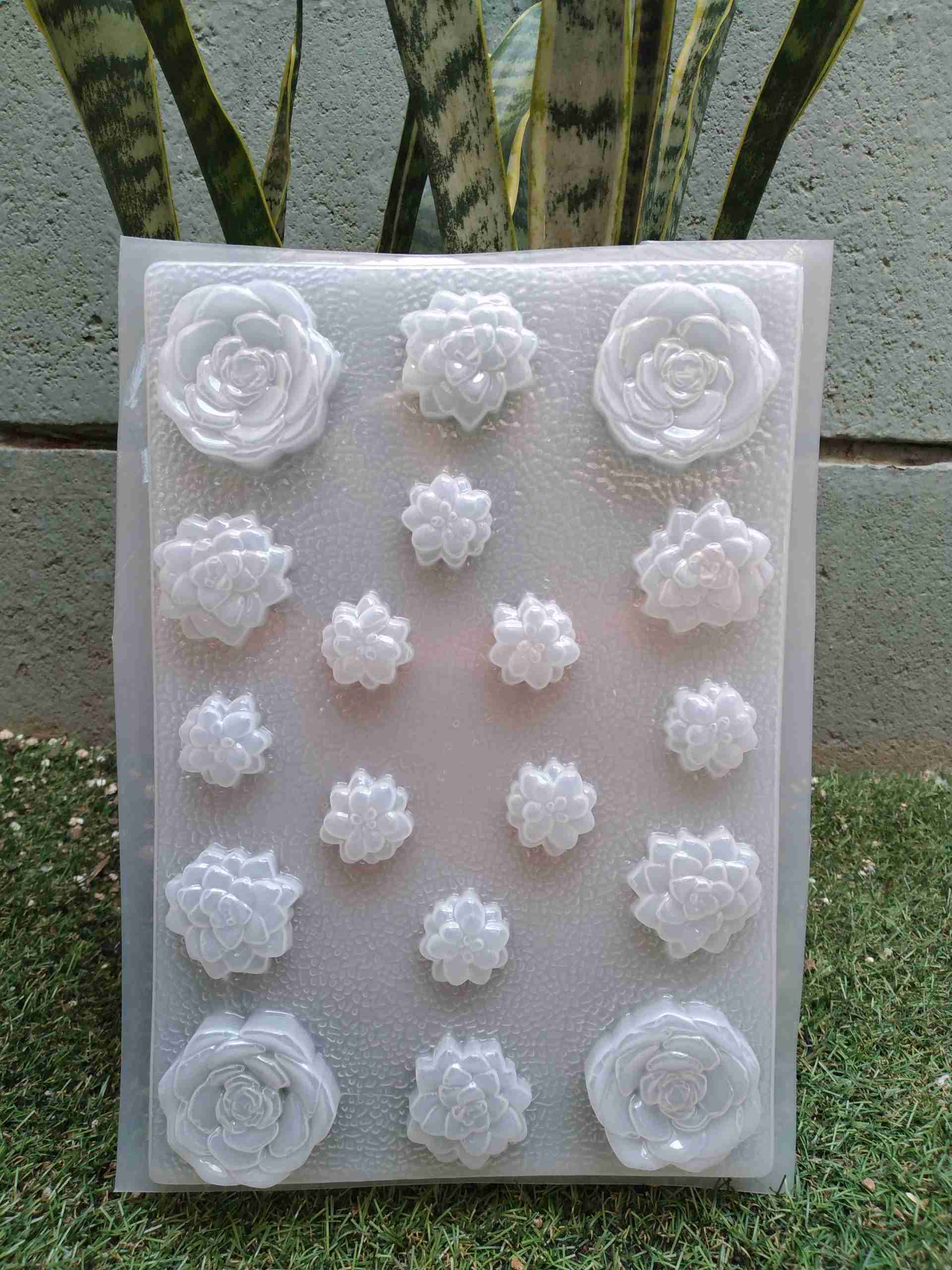 Molde suculentas Pequeñas surtidas