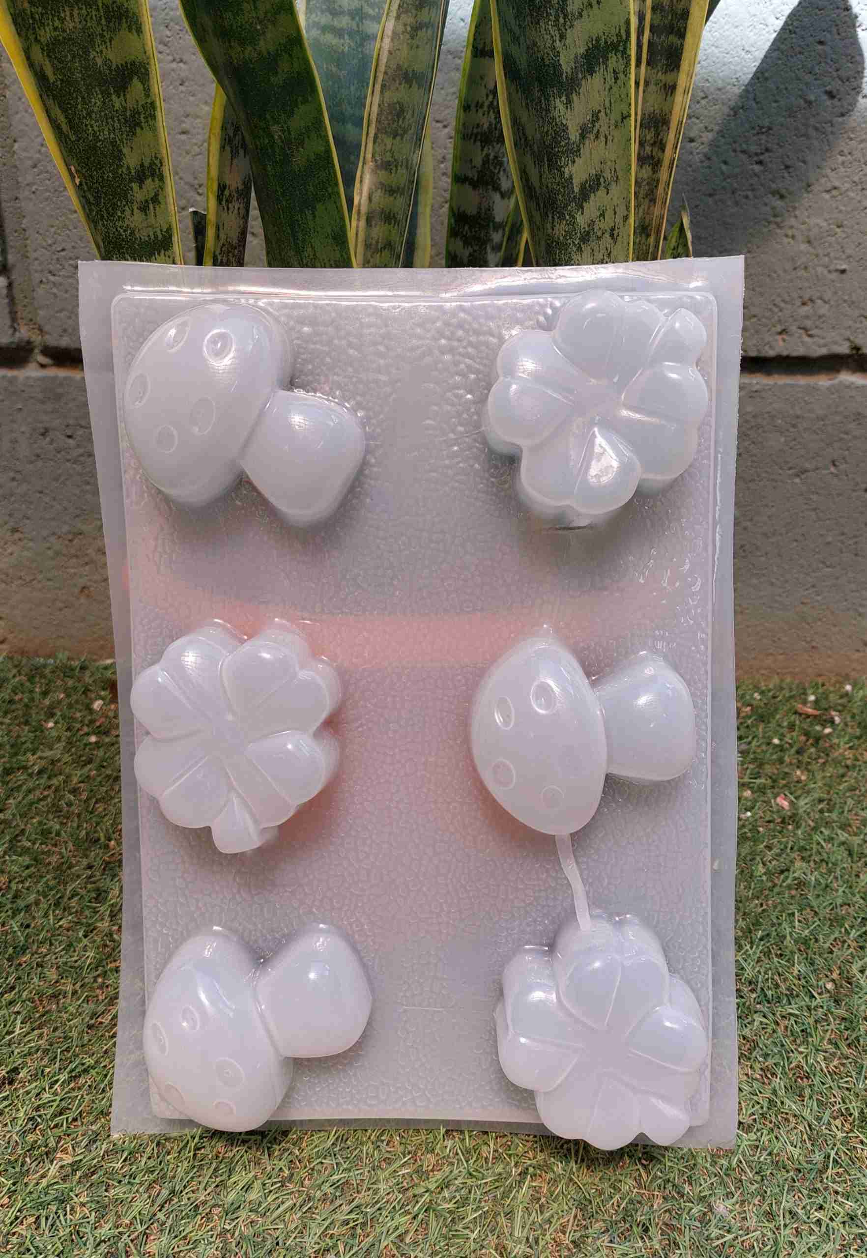 Molde trebol de 4 hojas y hongos