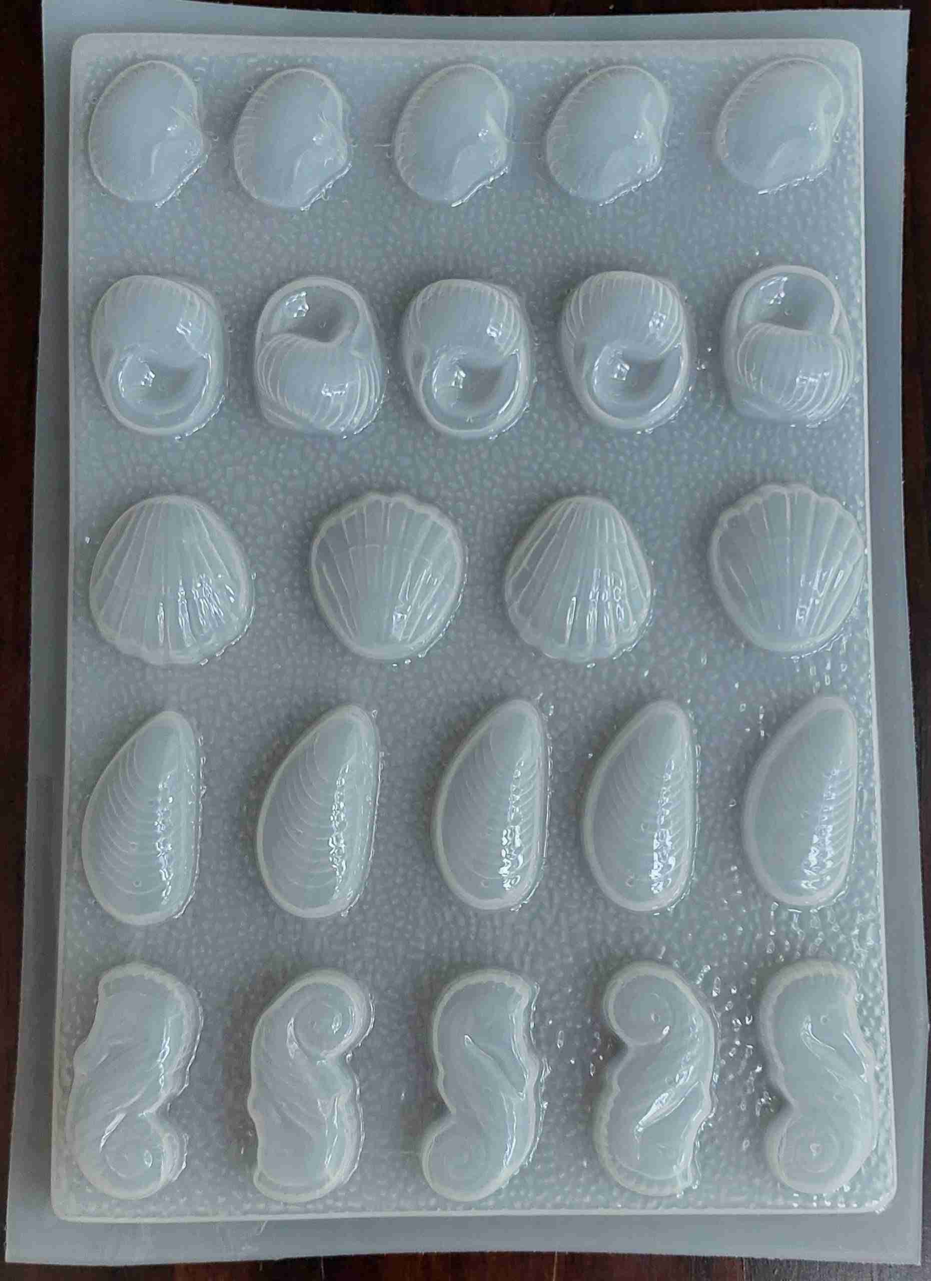 Molde conchitas de mar surtidos