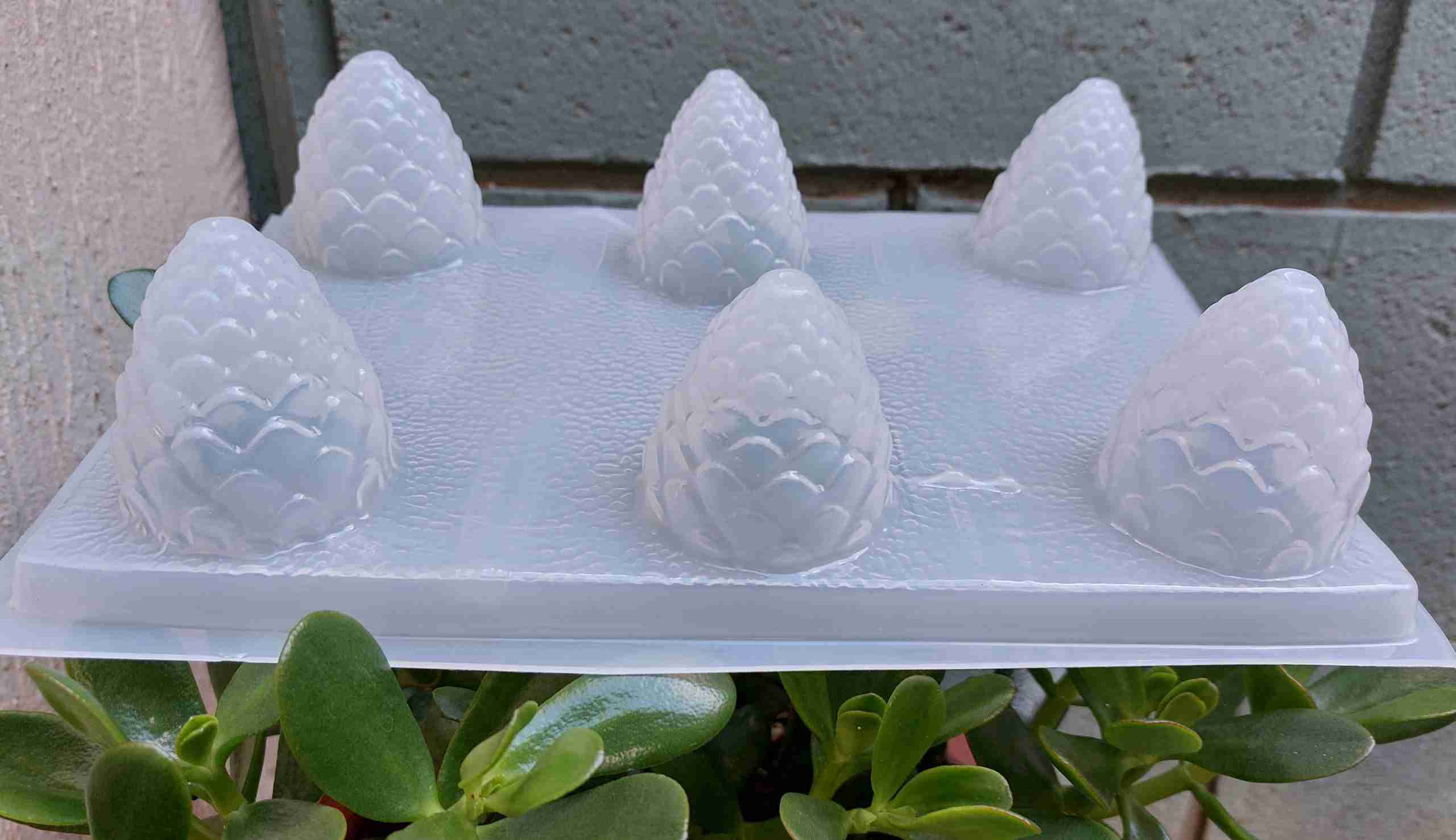 Molde semillas de pino