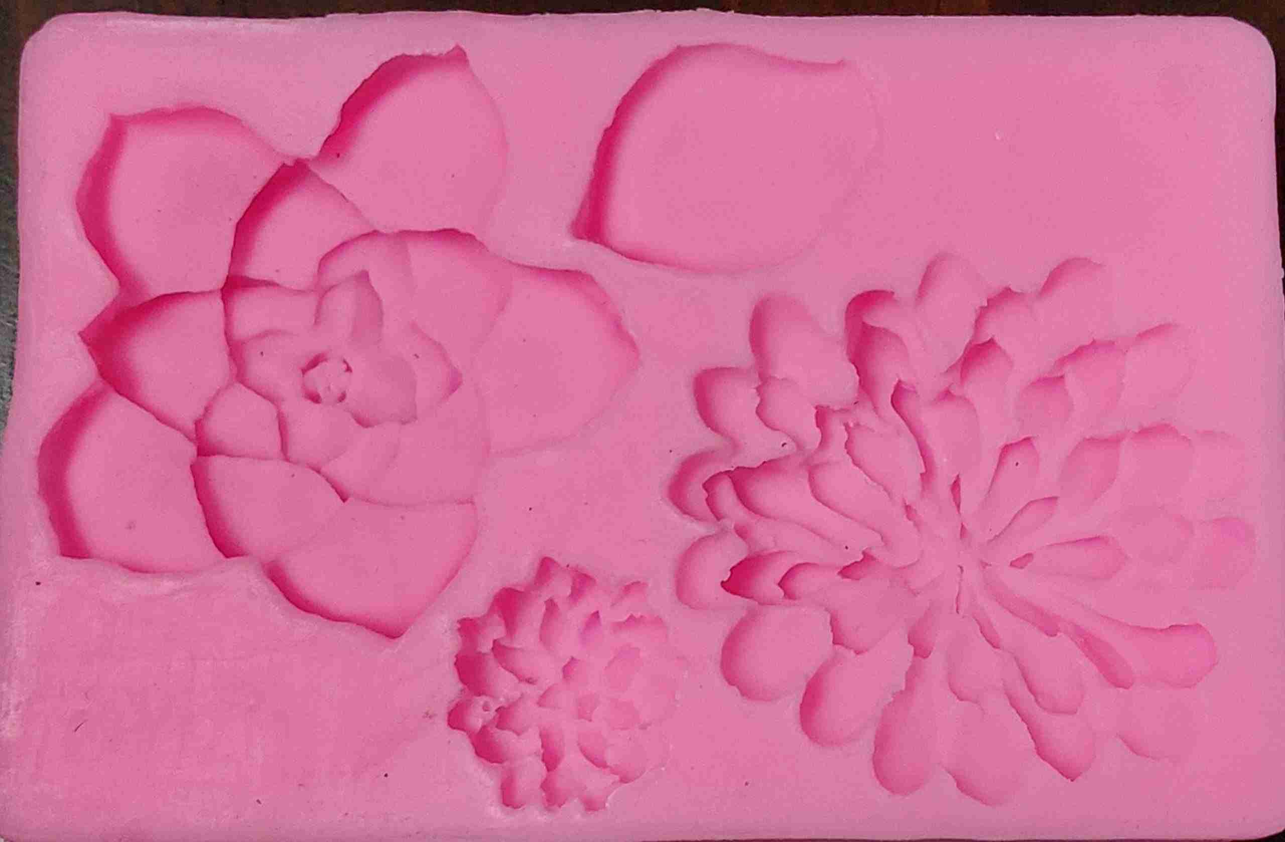 Molde silicón Suculentas