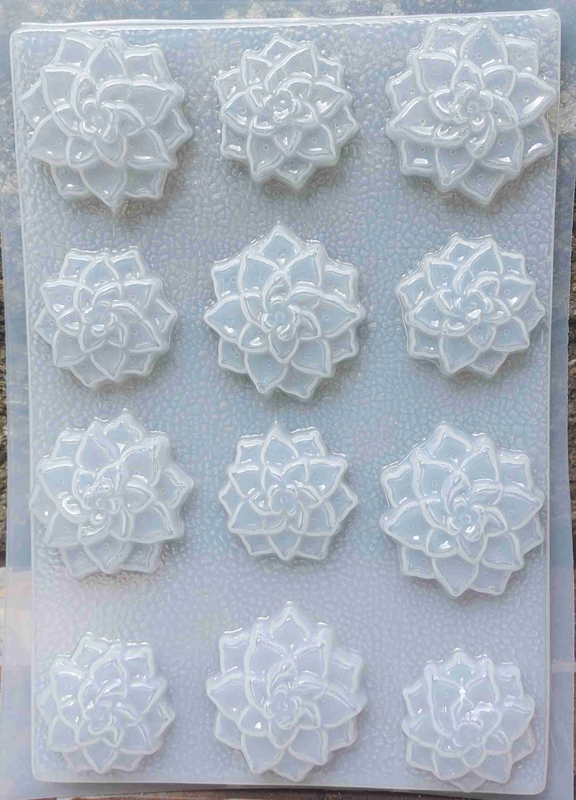 Molde suculentas 2 tamaños