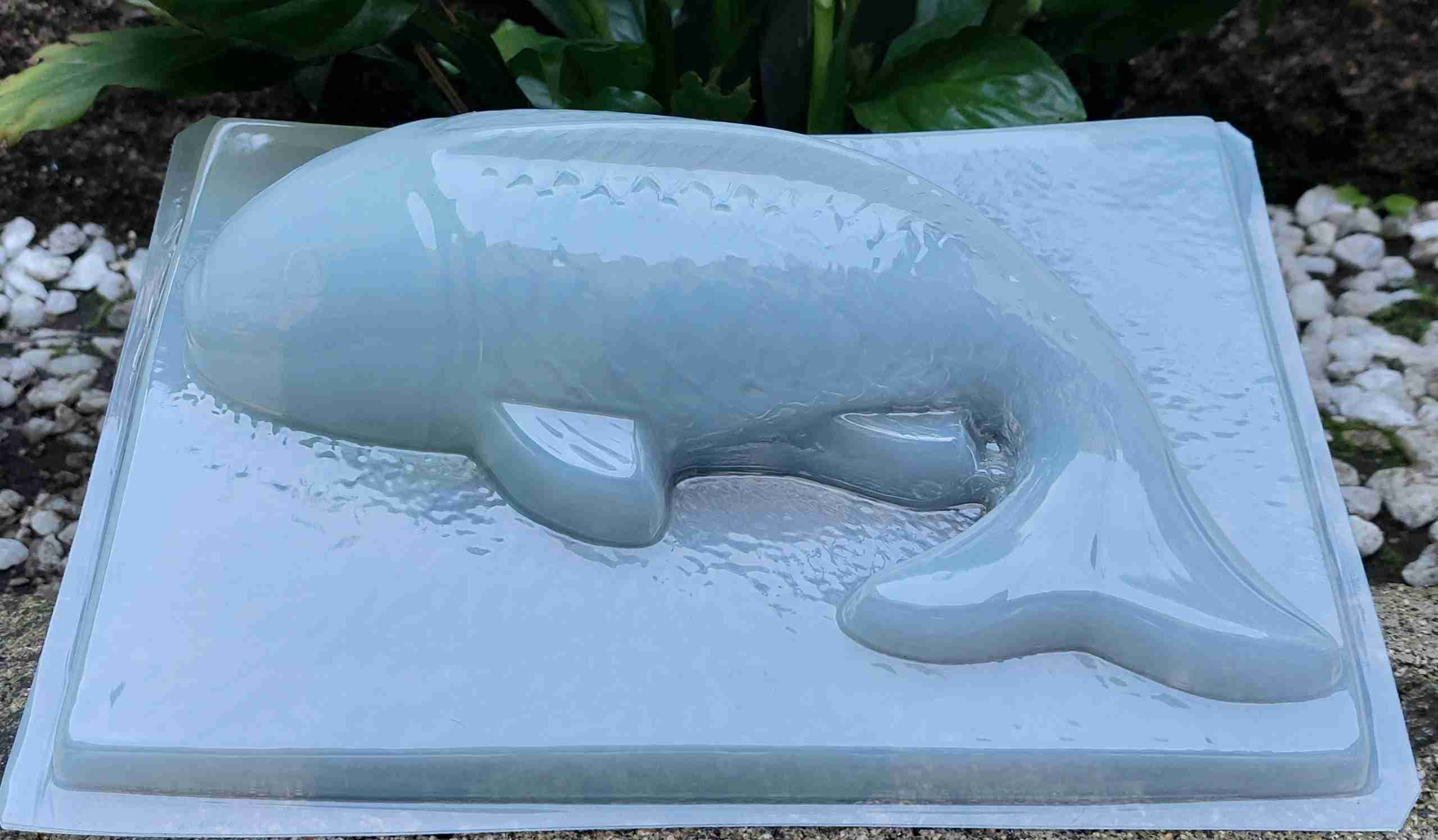 Molde Pez Coy de 500ml