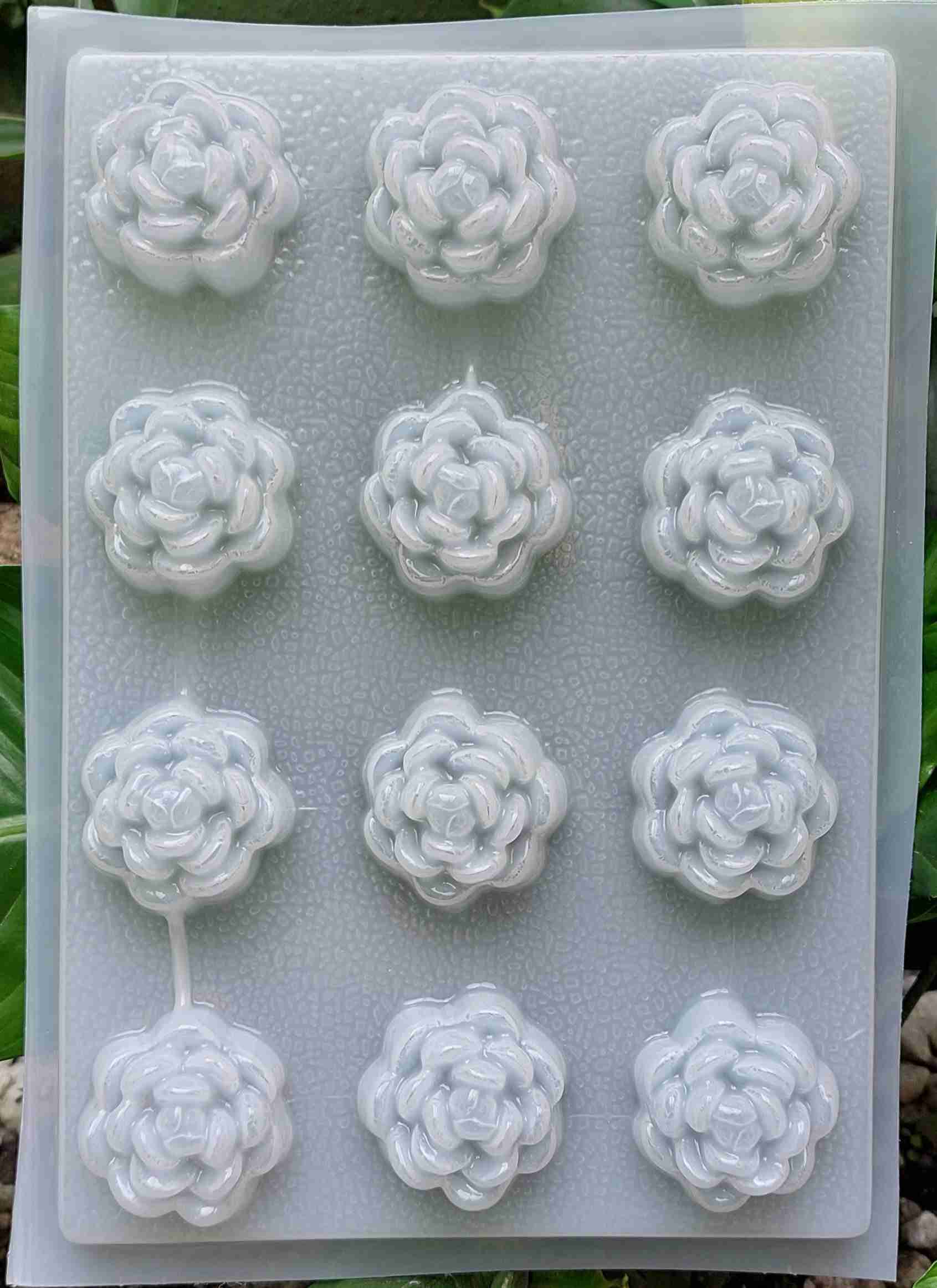 Molde suculentas pequeñas de 12