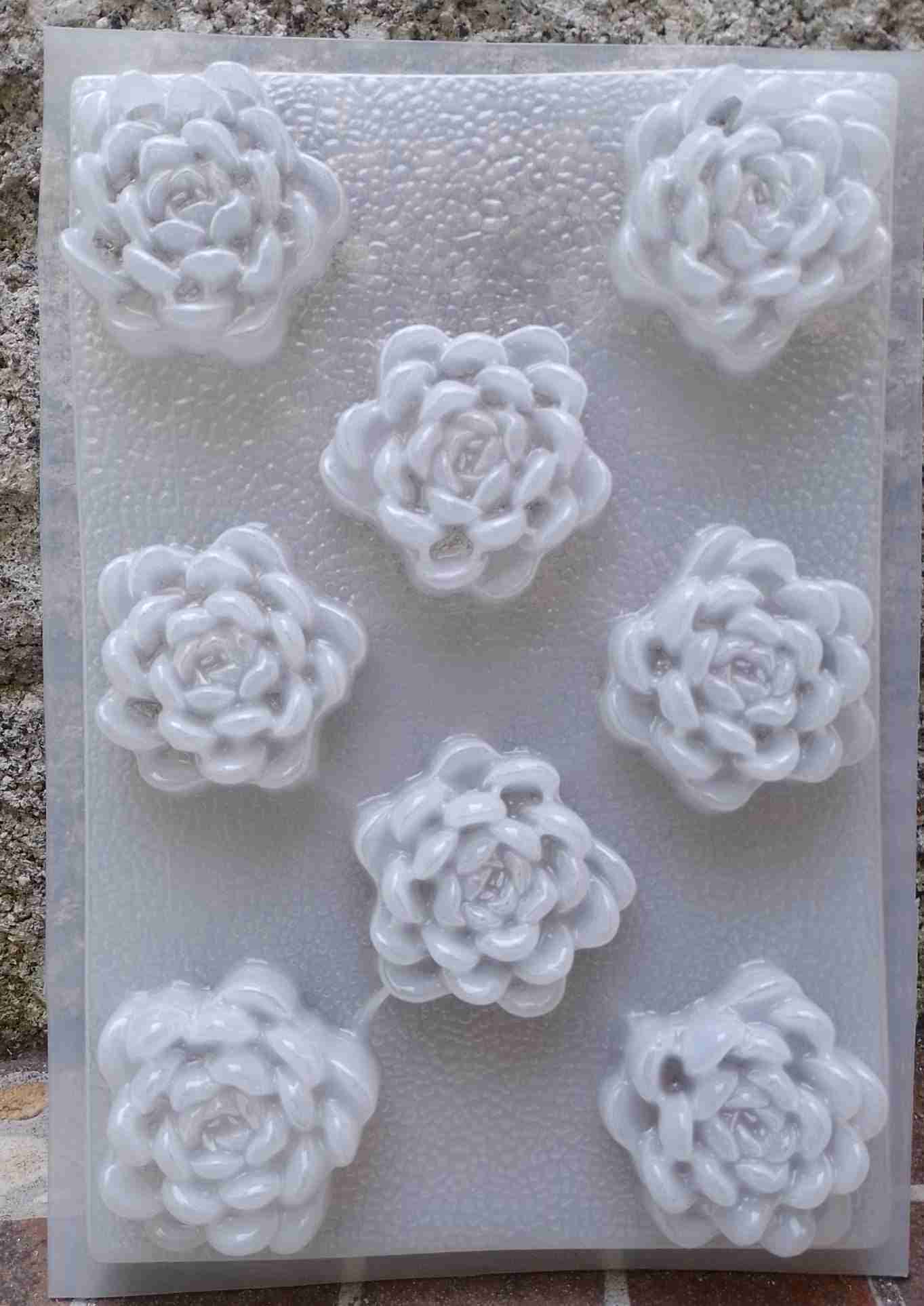 Molde suculentas de 8